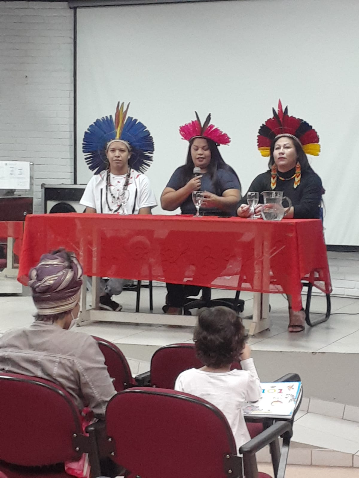 Read more about the article Terceiro encontro de ciclo debate sobre Indígenas LGBTQIA+